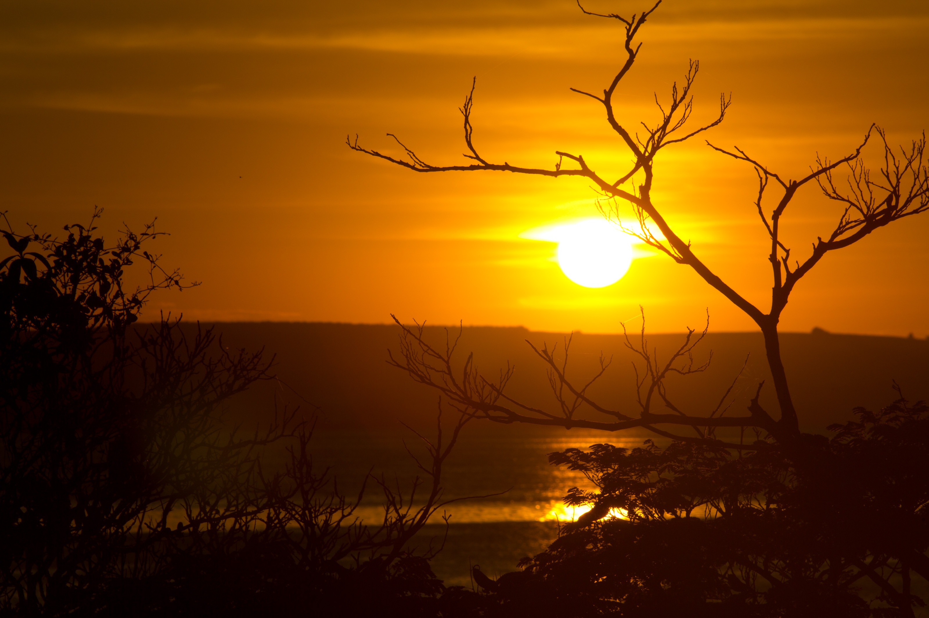 Terreno, 250 m² - Foto 56