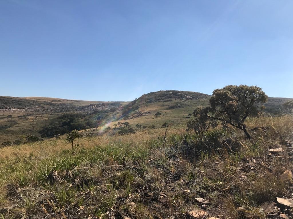 Fazenda, 10 m² - Foto 3