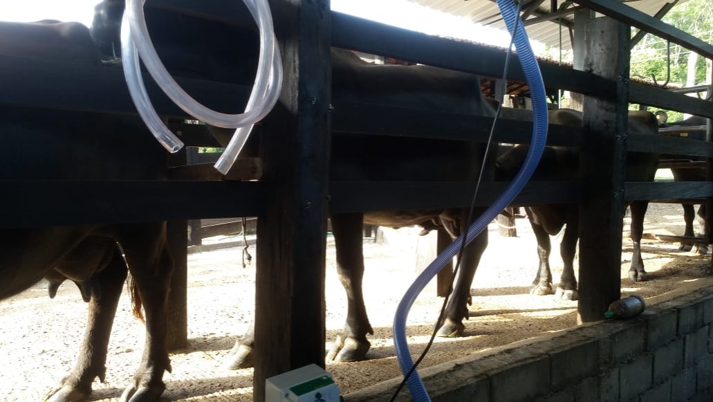 Fazenda, 99 m² - Foto 4