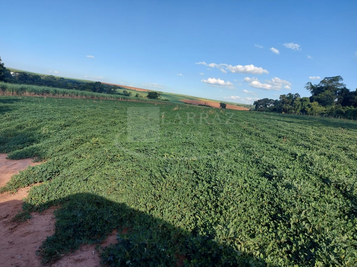 Sítio, 10 m² - Foto 1