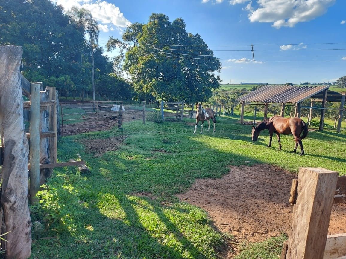 Sítio, 10 m² - Foto 2