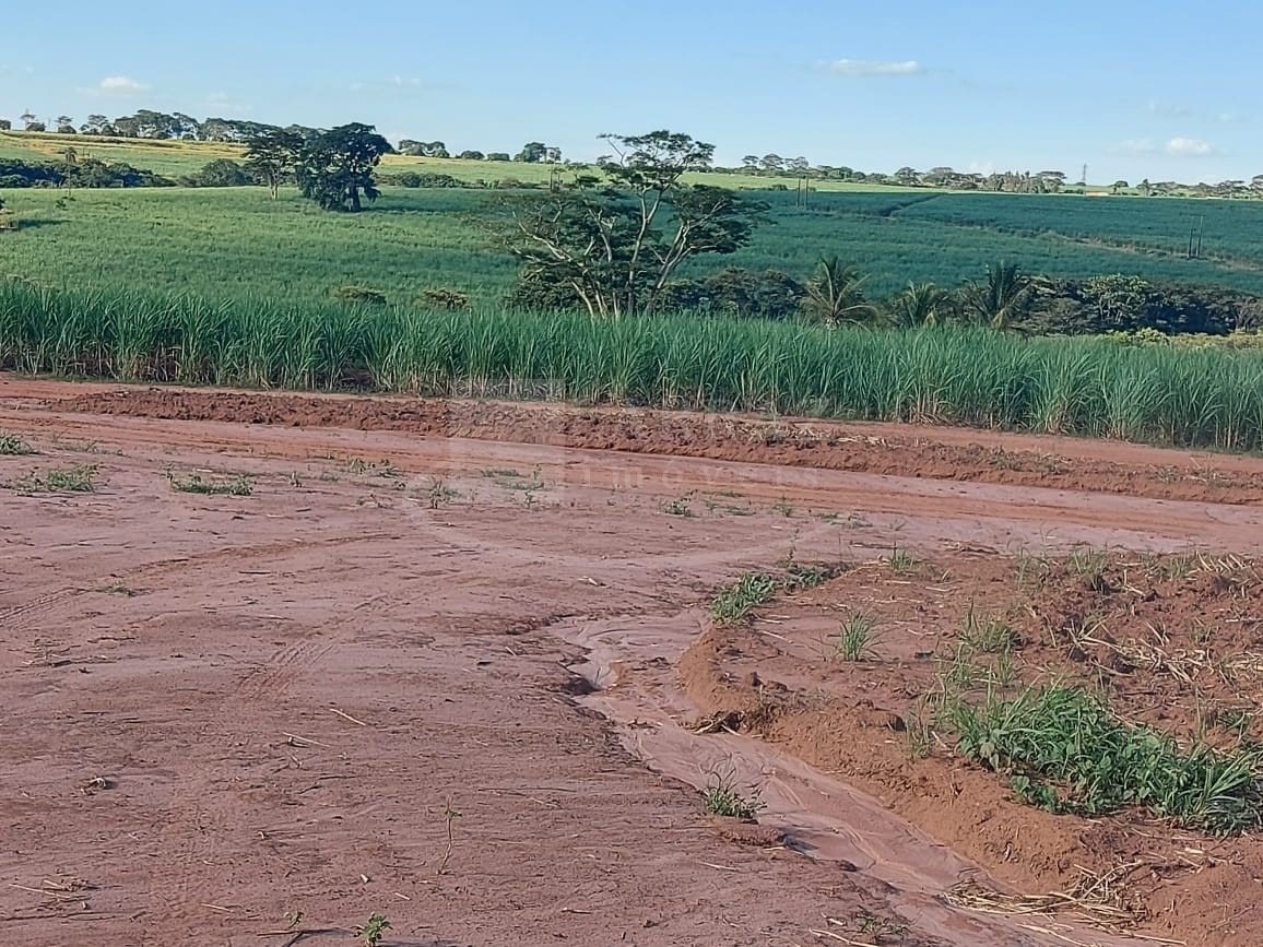 Sítio, 10 m² - Foto 4