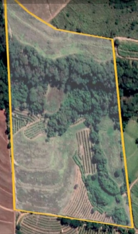 Sítio, 8 m² - Foto 1