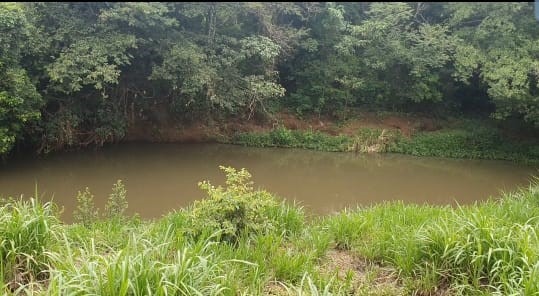 Sítio, 2 m² - Foto 4