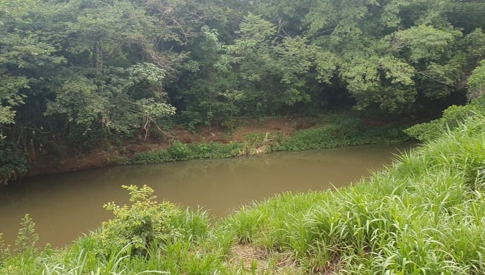 Sítio, 2 m² - Foto 5