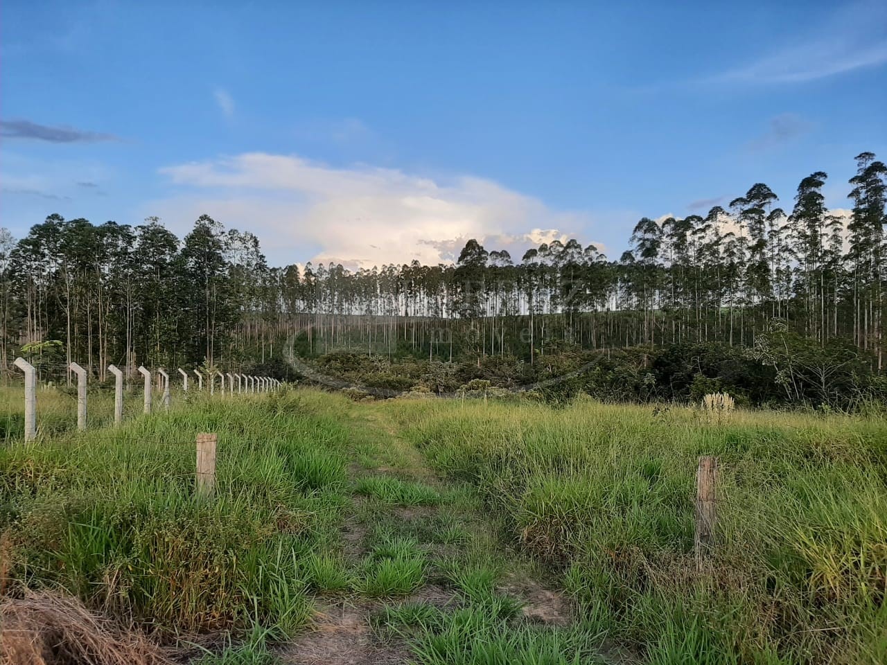 Fazenda, 49 m² - Foto 1