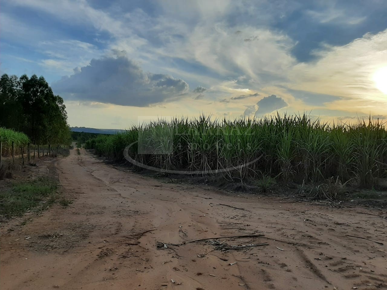 Fazenda, 49 m² - Foto 2