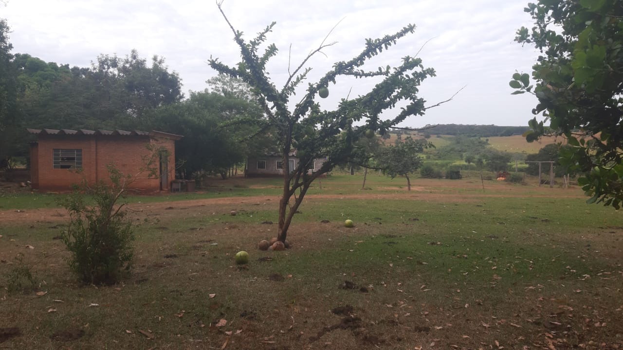 Sítio, 35 m² - Foto 2
