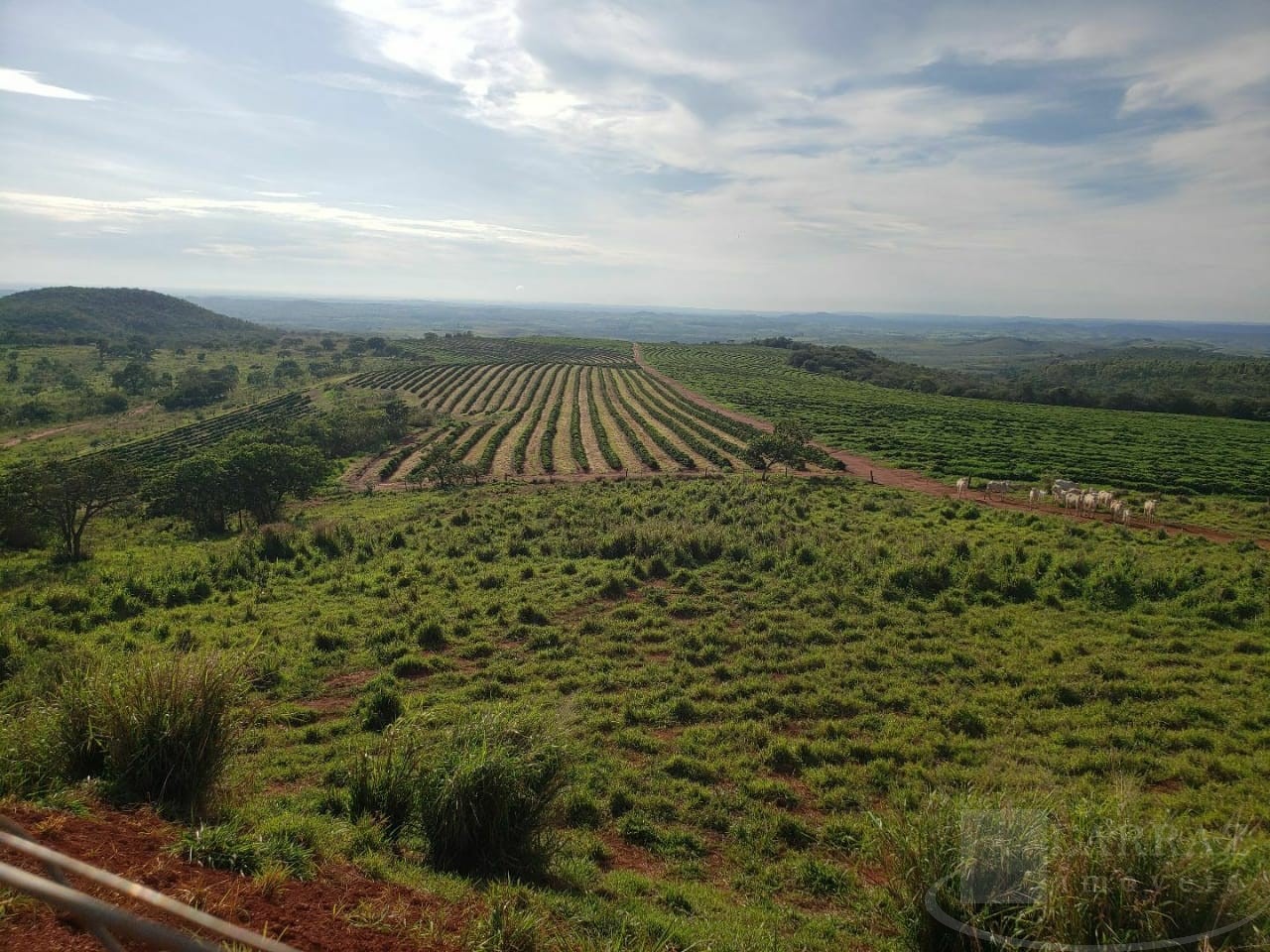 Fazenda, 691 m² - Foto 2