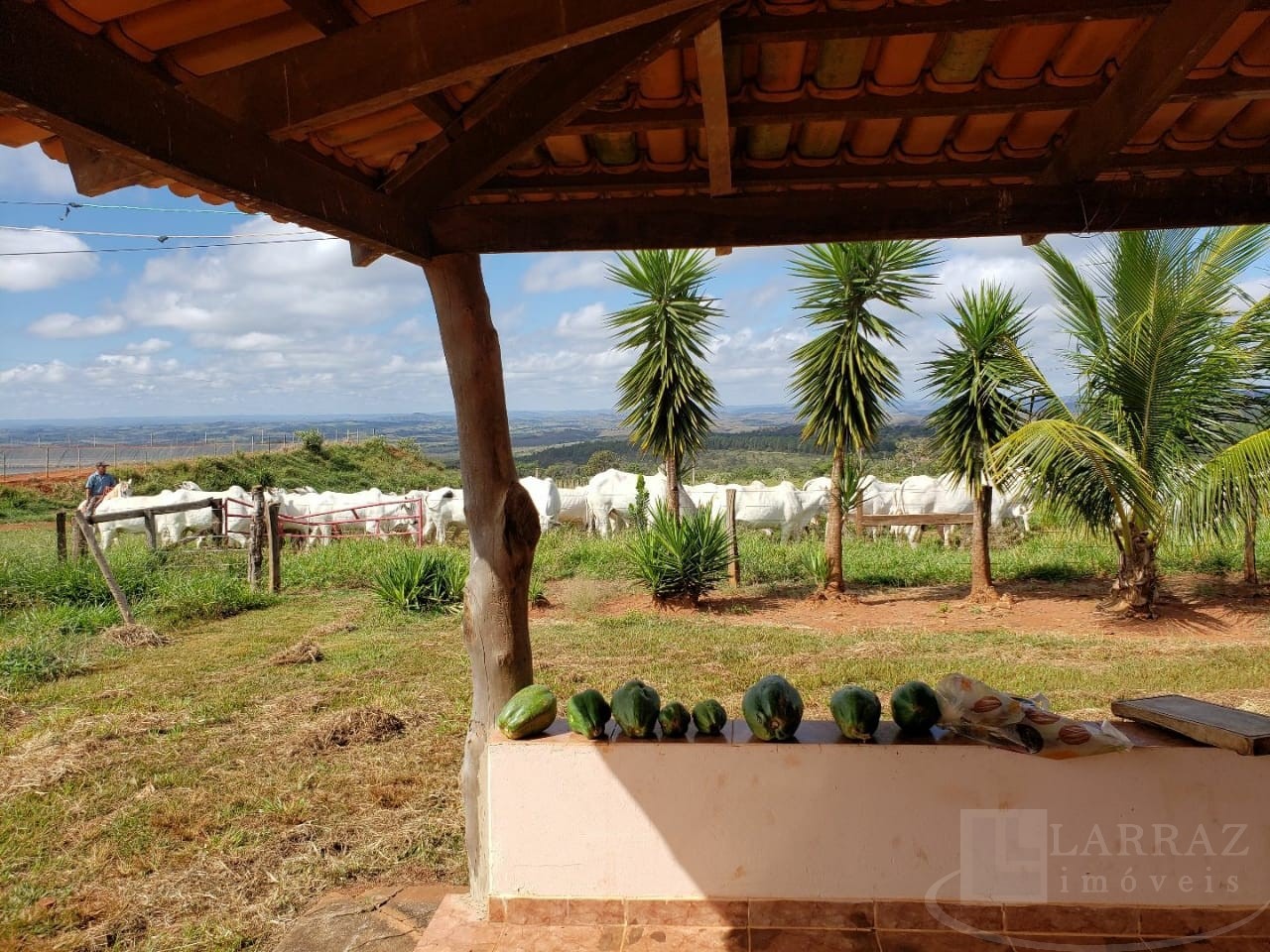 Fazenda, 691 m² - Foto 3