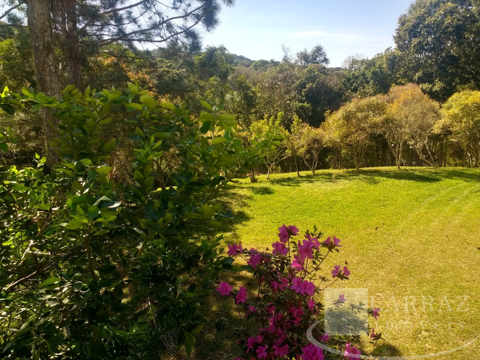 Chácara, 3 quartos, 6400 m² - Foto 1