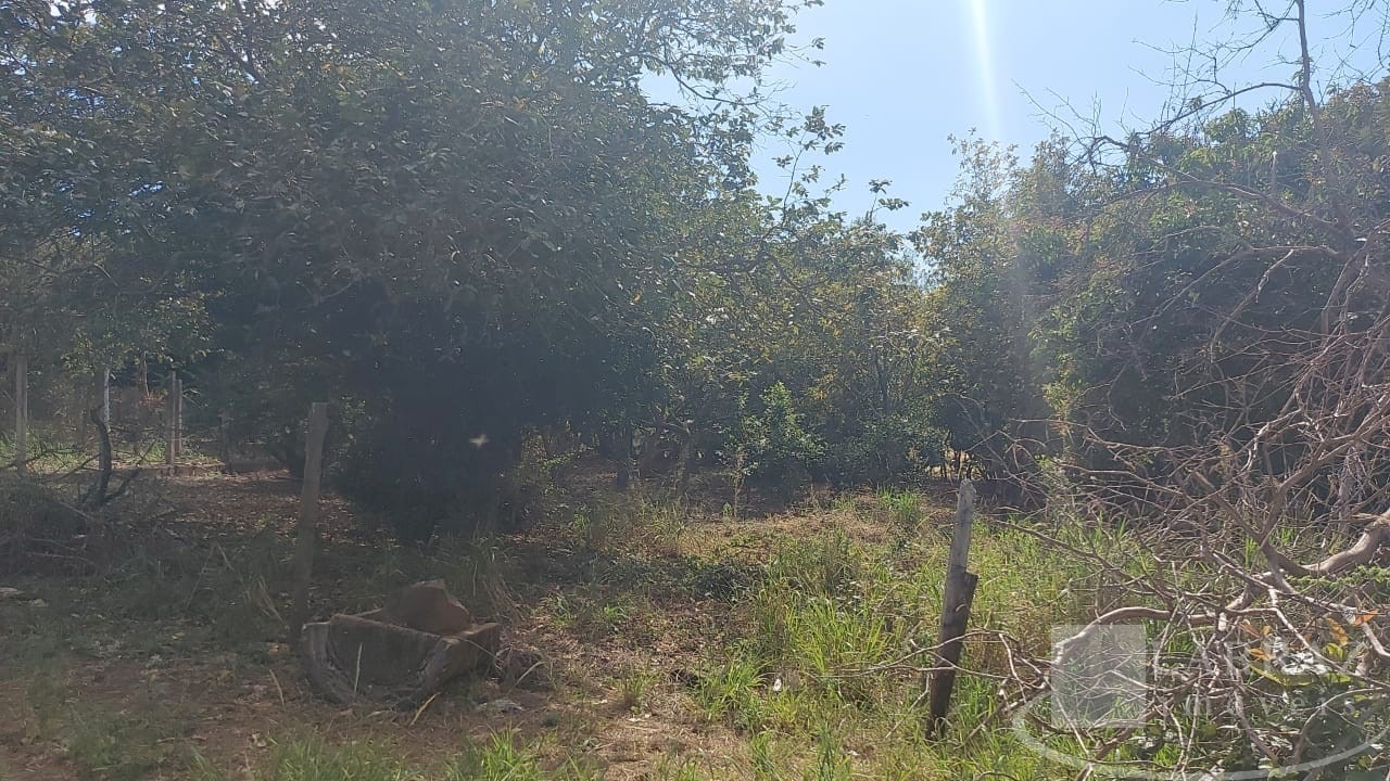 Sítio, 9 m² - Foto 16