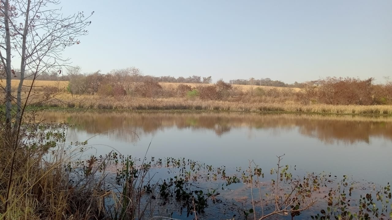 Fazenda, 131 m² - Foto 11