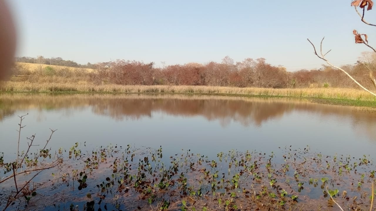 Fazenda, 131 m² - Foto 6