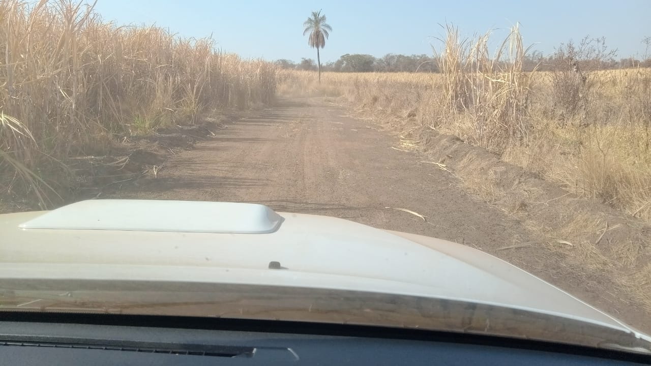 Fazenda, 131 m² - Foto 4