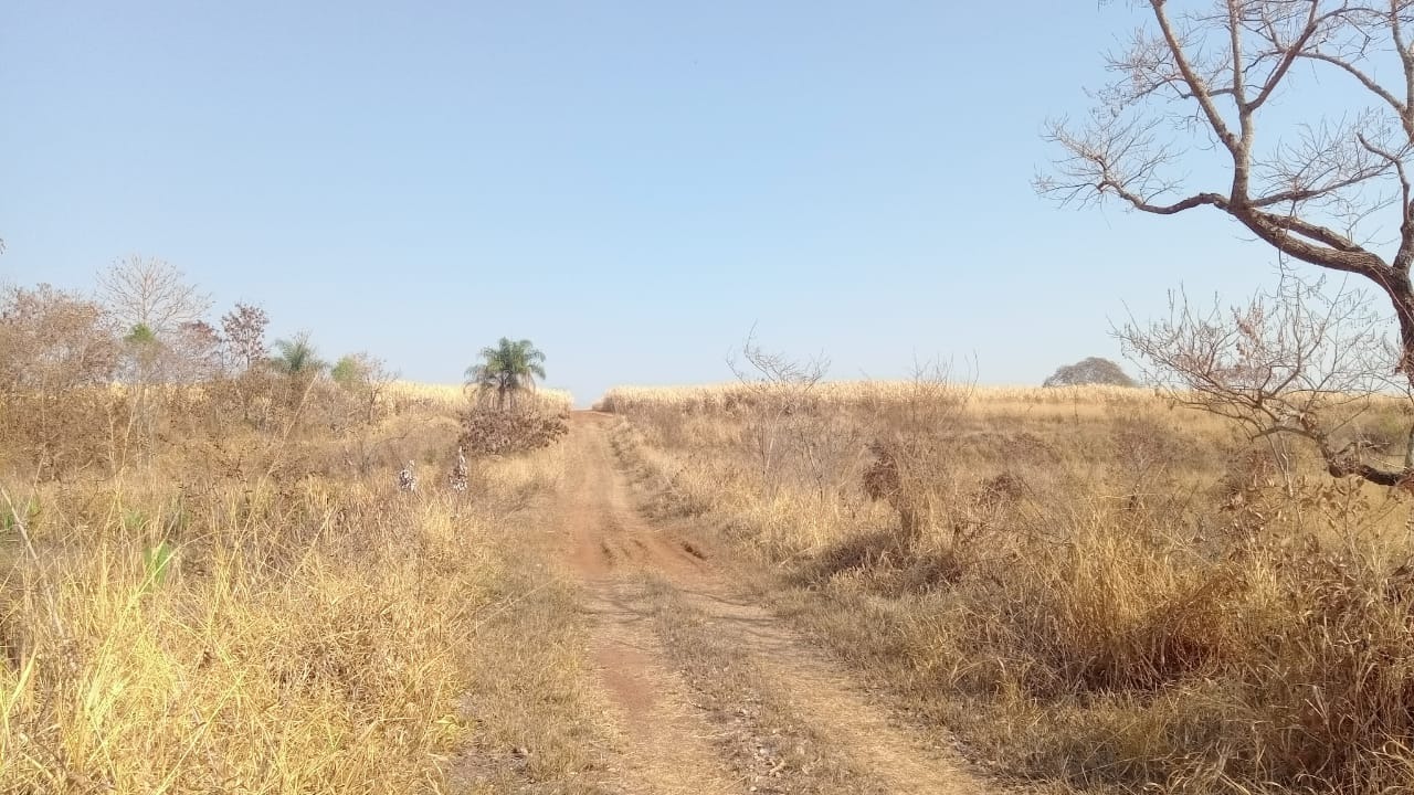 Fazenda, 131 m² - Foto 1