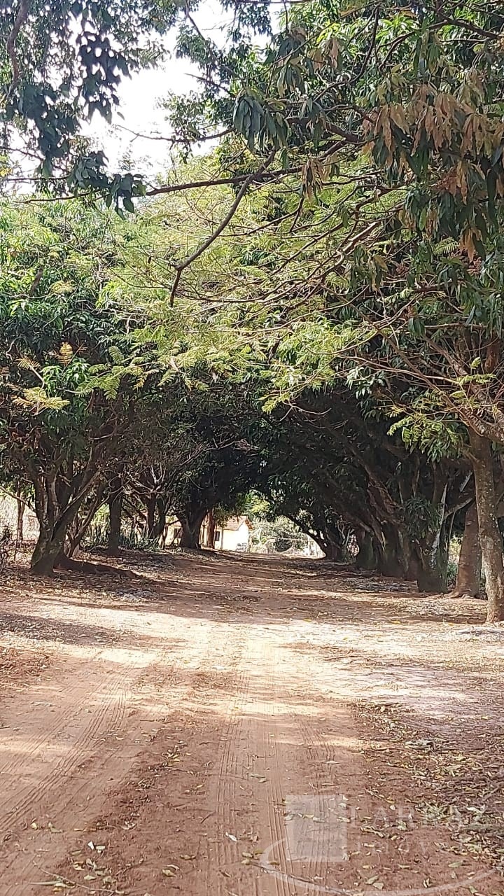 Sítio, 9 m² - Foto 27