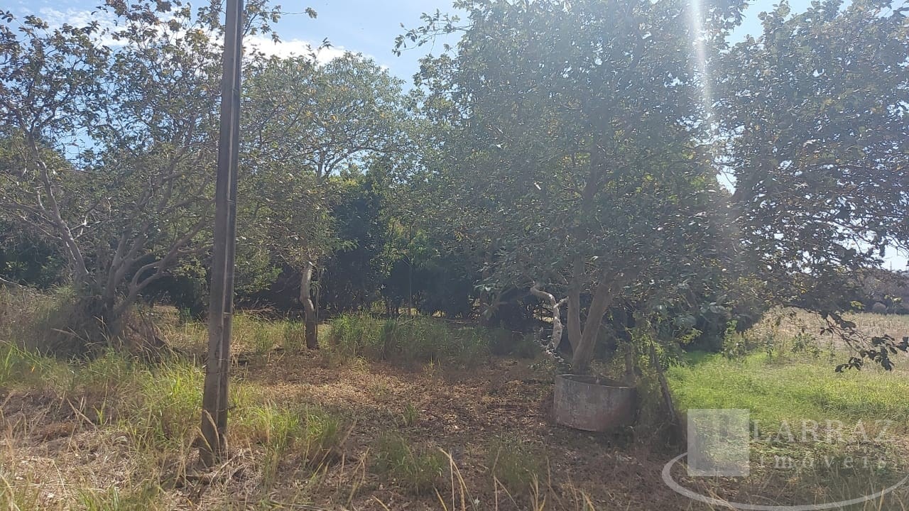 Sítio, 9 m² - Foto 15