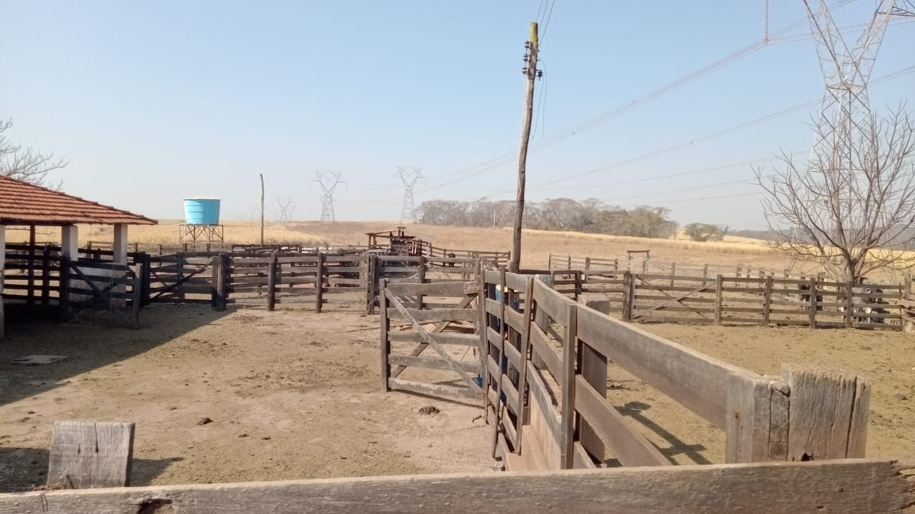 Fazenda, 131 m² - Foto 14