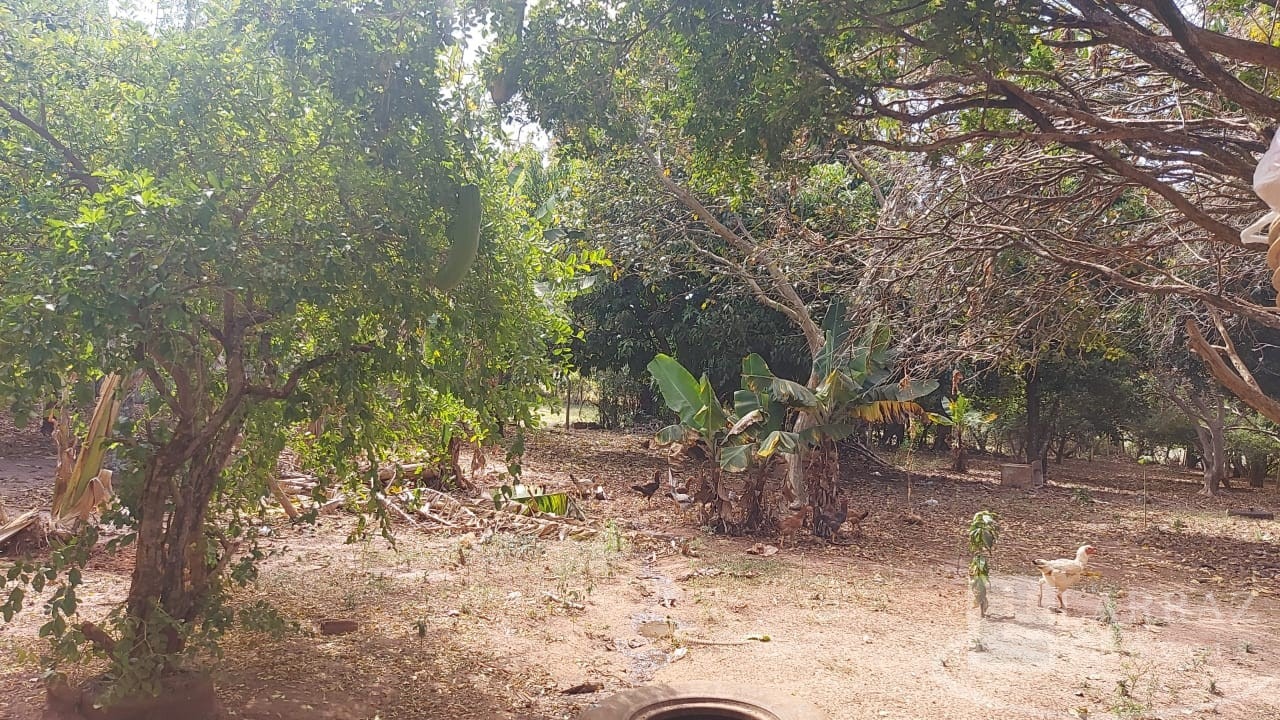 Sítio, 9 m² - Foto 21