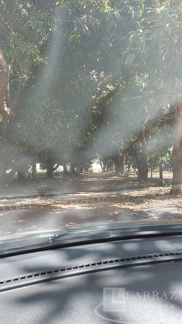 Sítio, 9 m² - Foto 25