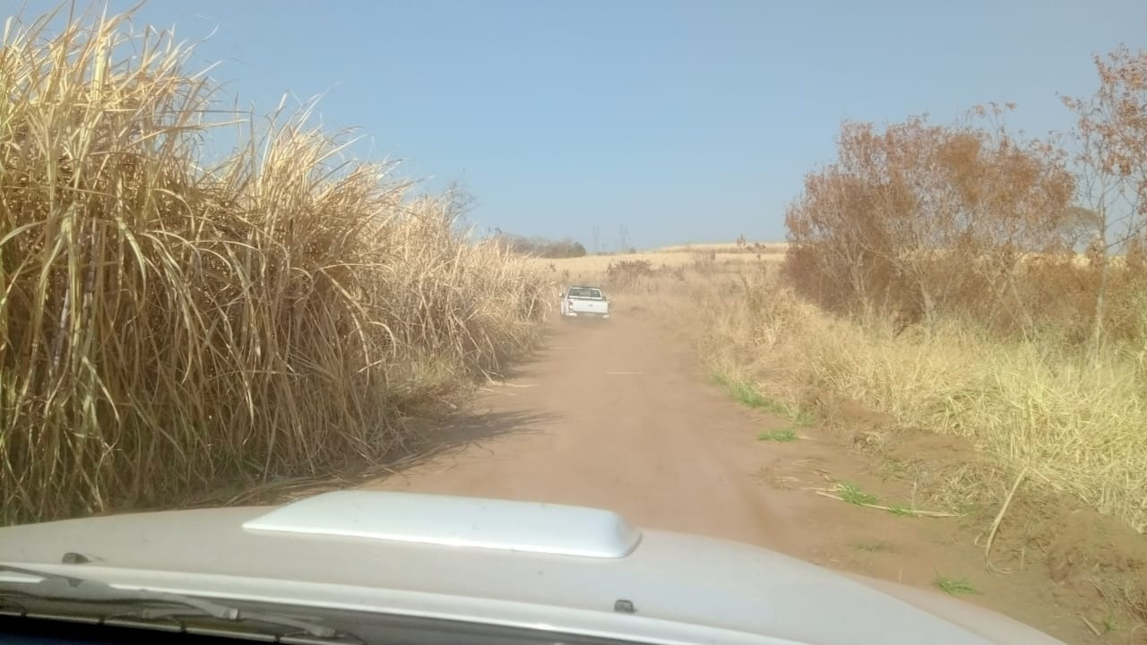 Fazenda, 131 m² - Foto 5