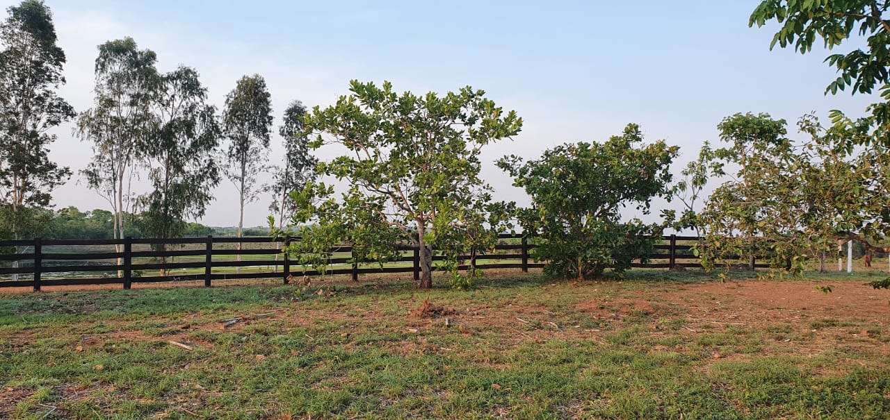 Fazenda, 155 m² - Foto 3