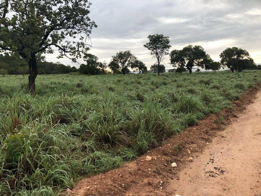 Fazenda, 1074 m² - Foto 2