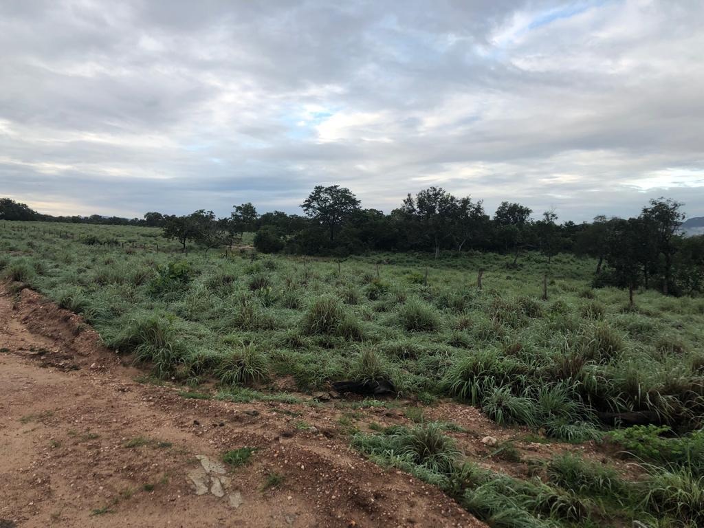 Fazenda, 1074 m² - Foto 5