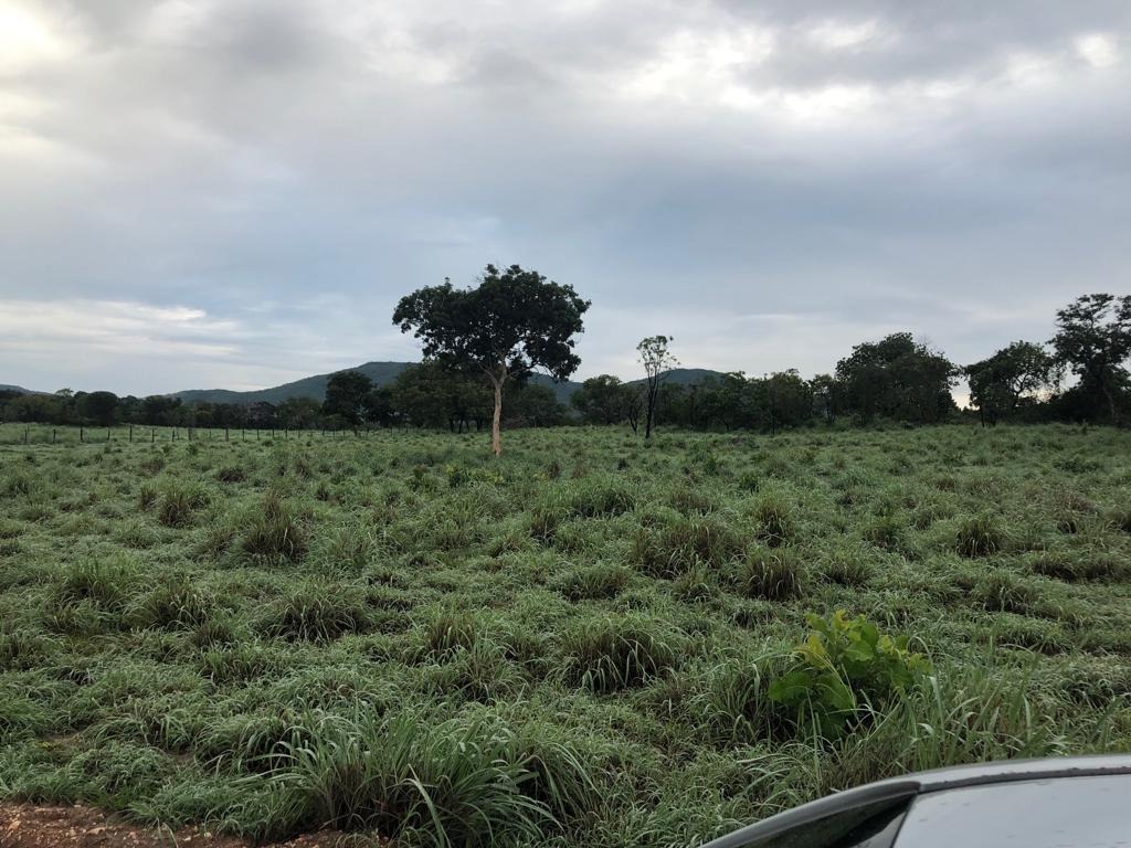 Fazenda, 1074 m² - Foto 3