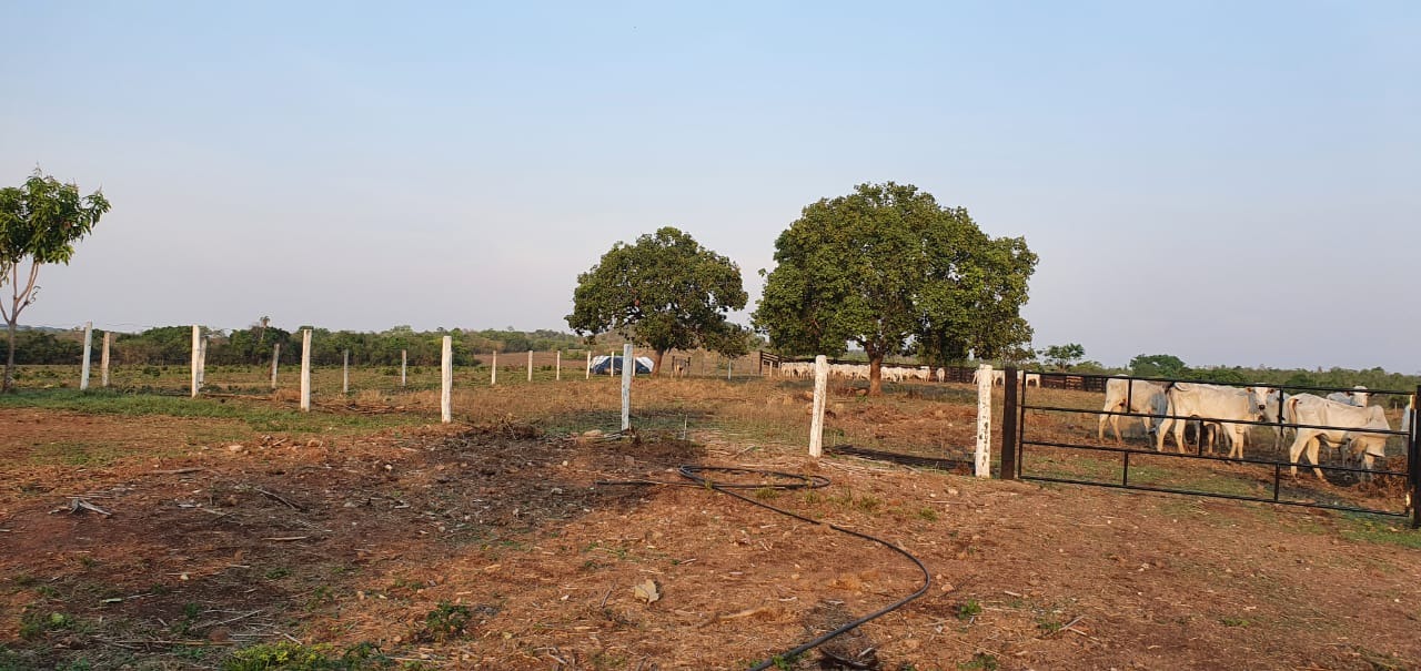 Fazenda, 155 m² - Foto 4