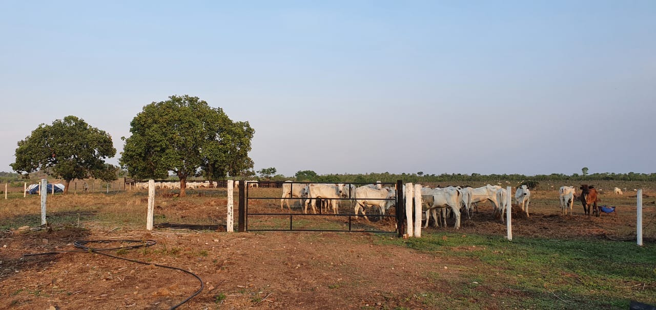 Fazenda, 155 m² - Foto 5