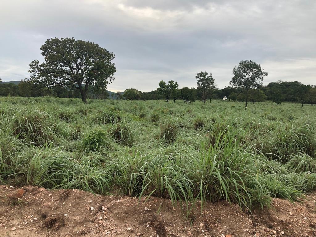 Fazenda, 1074 m² - Foto 4