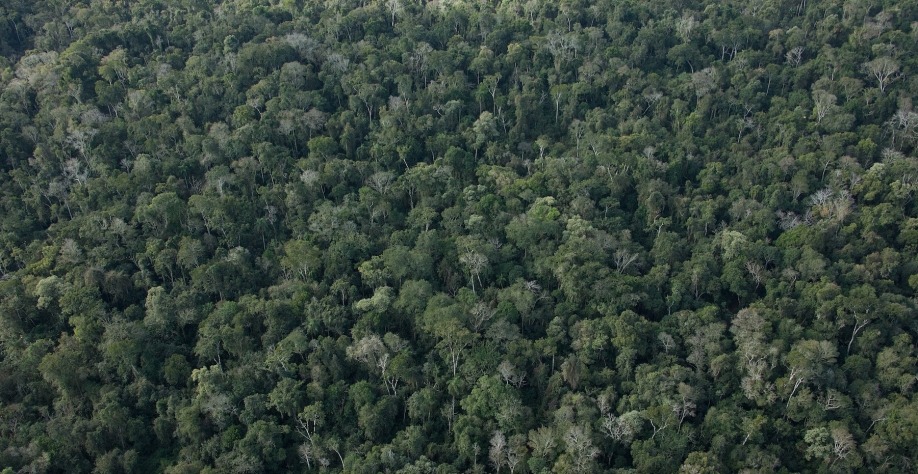 Sítio, 12 m² - Foto 2