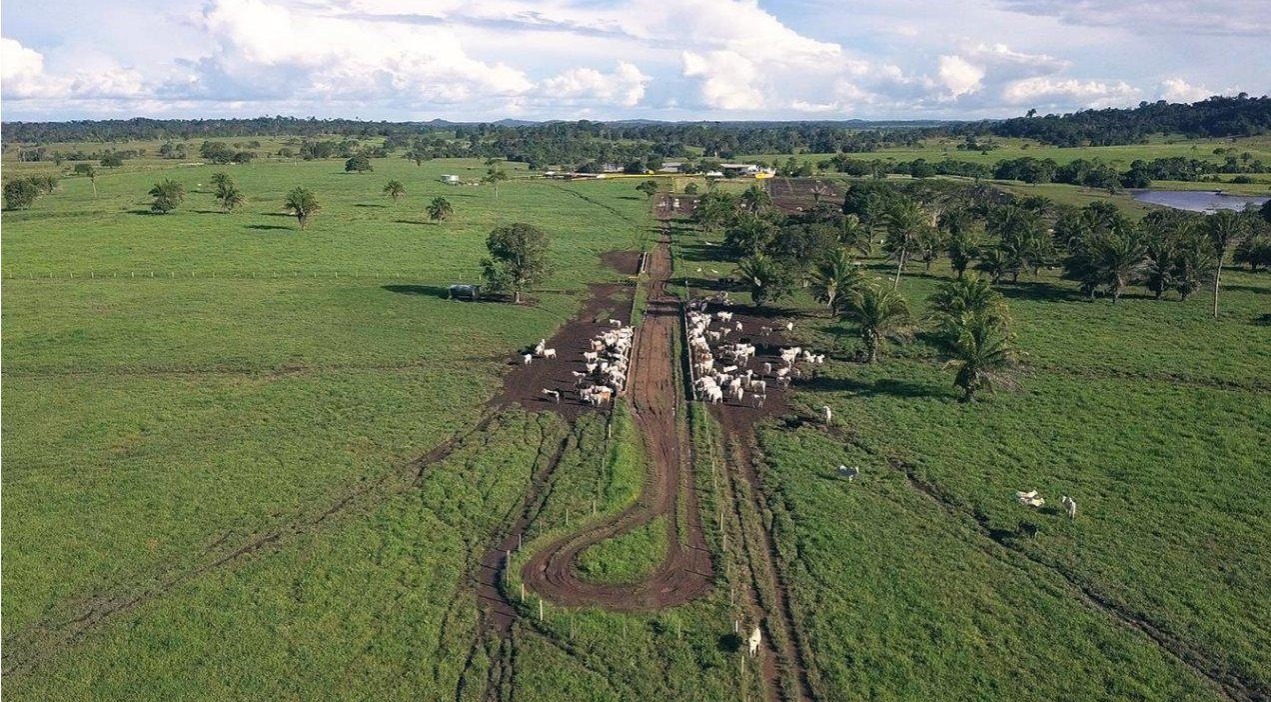 Fazenda, 785 m² - Foto 1