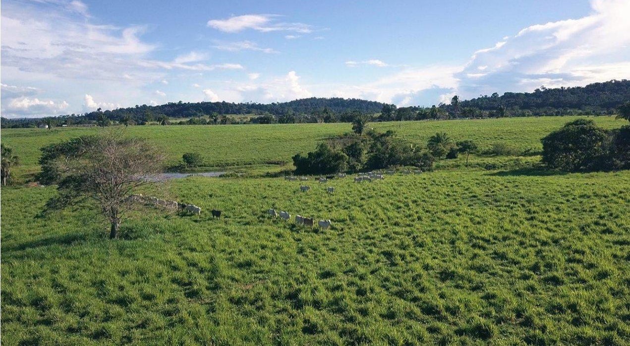 Fazenda, 785 m² - Foto 2