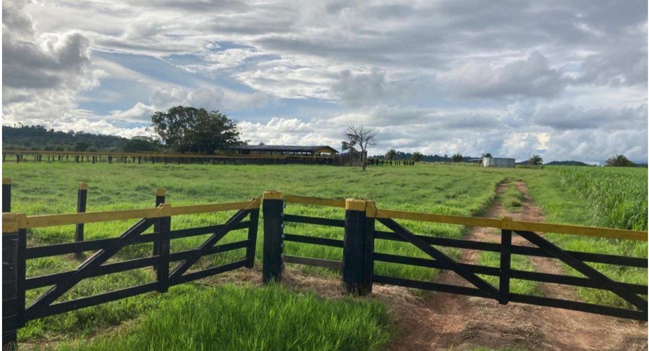 Fazenda, 785 m² - Foto 5