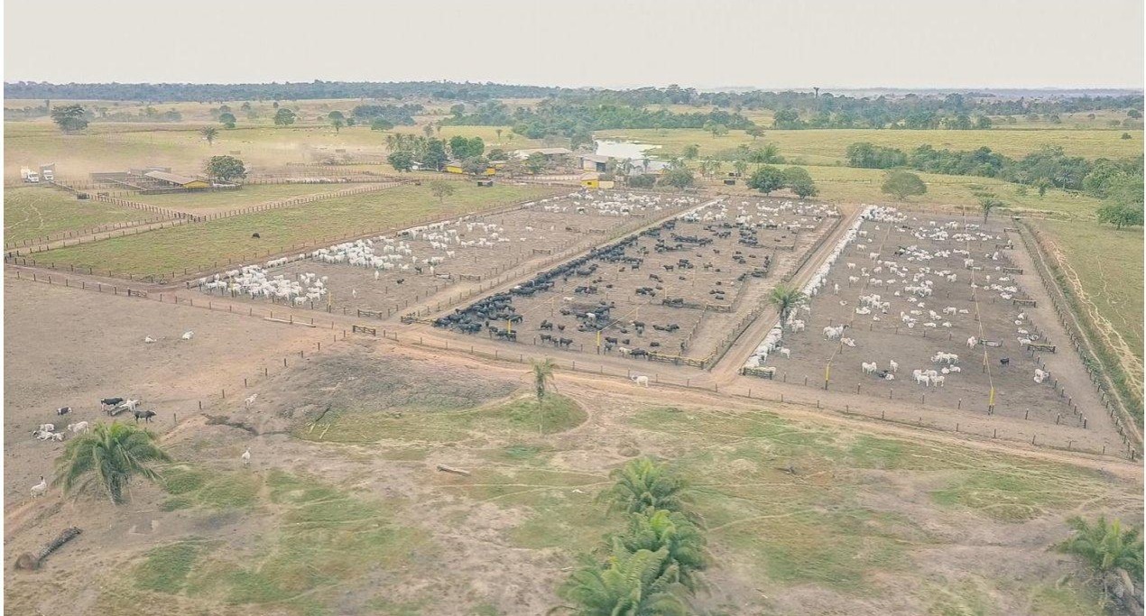 Fazenda, 785 m² - Foto 4