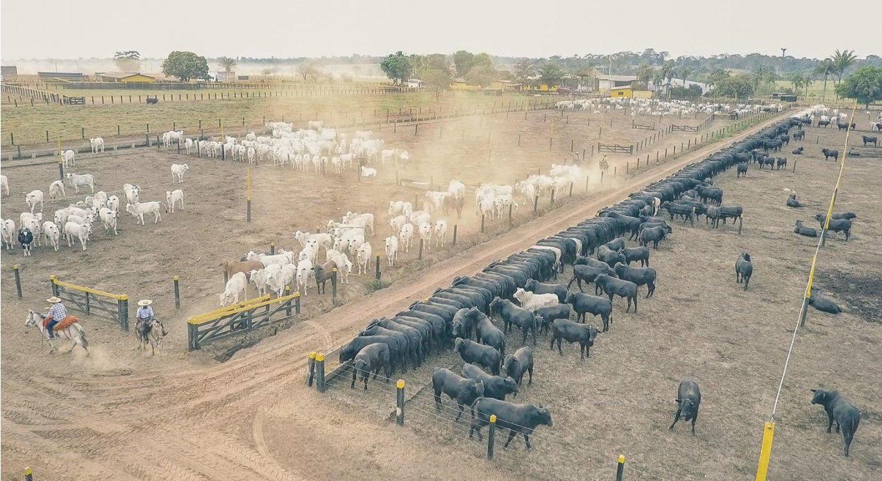 Fazenda, 785 m² - Foto 3