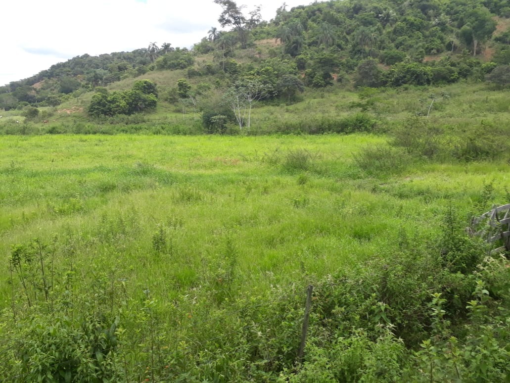 Fazenda, 173 m² - Foto 4