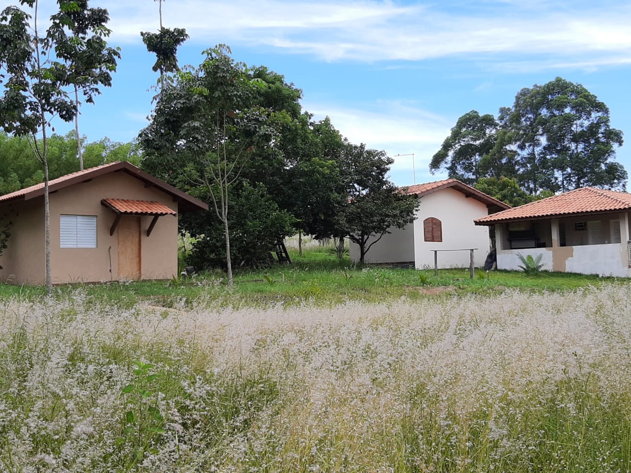 Sítio, 2 m² - Foto 29