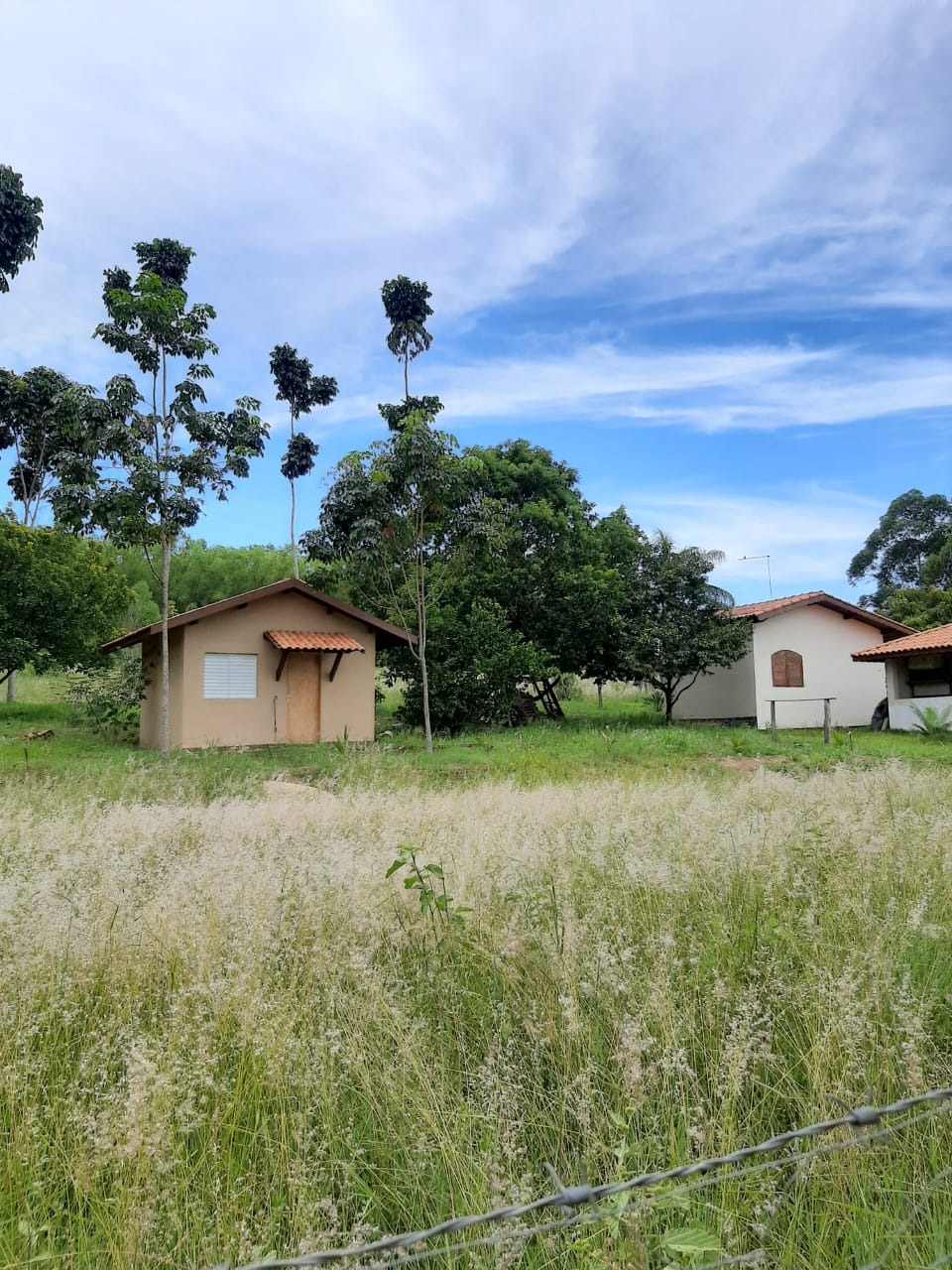 Sítio, 2 m² - Foto 25