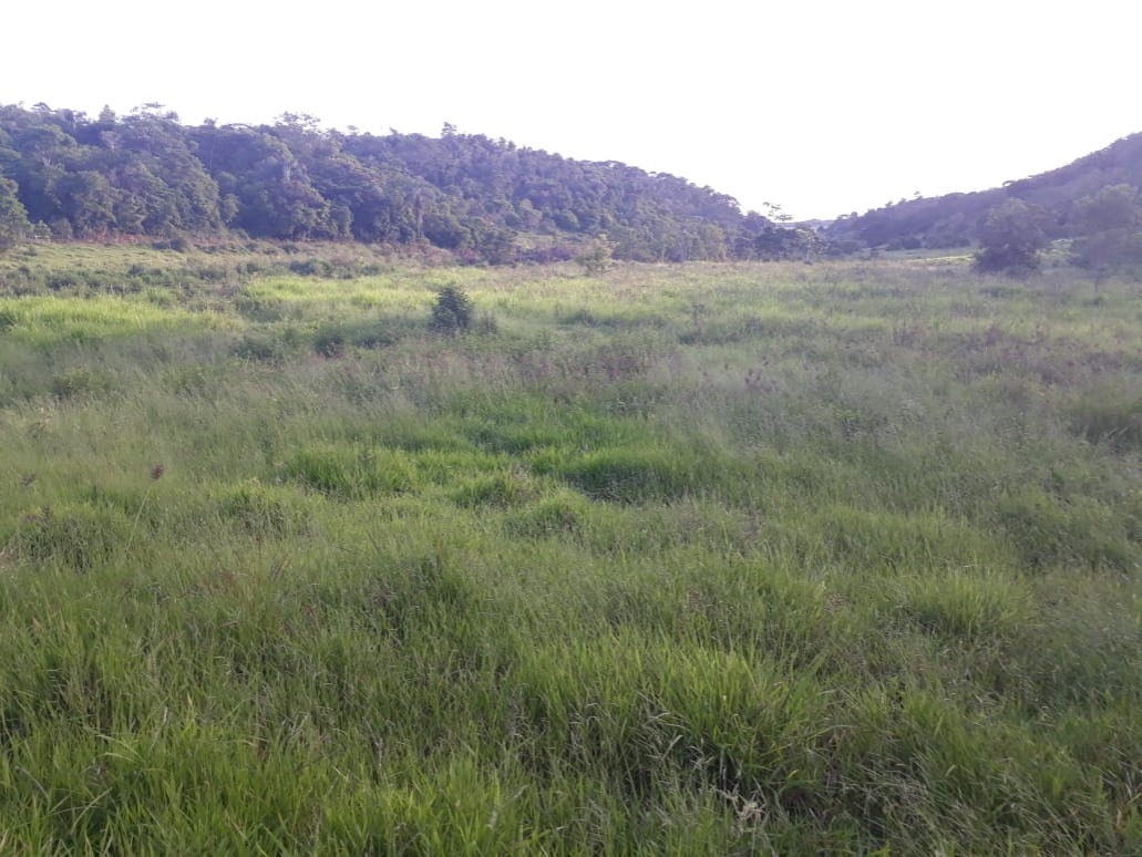 Fazenda, 173 m² - Foto 3