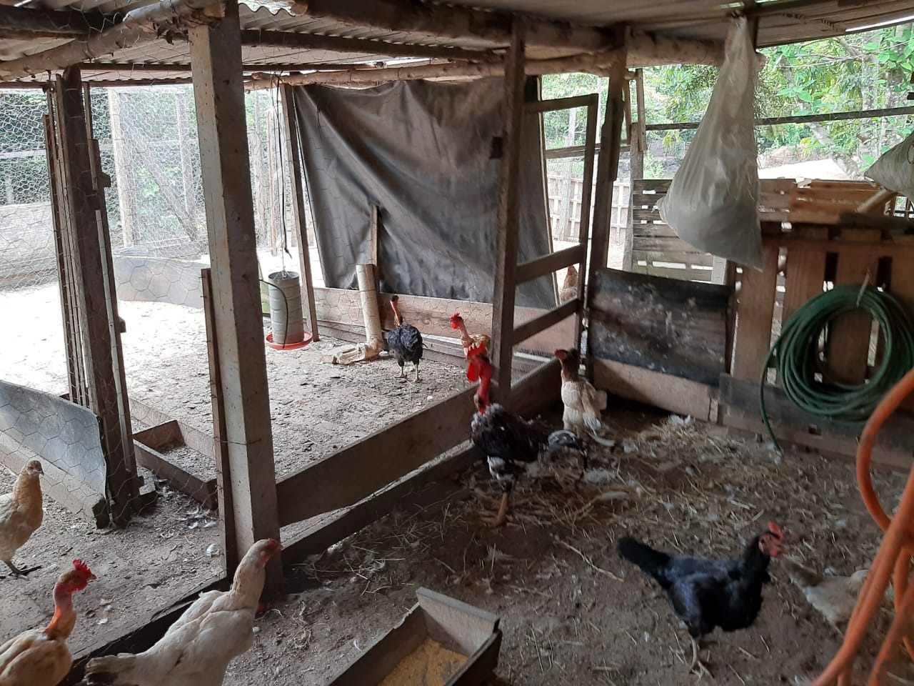 Sítio, 2 m² - Foto 32