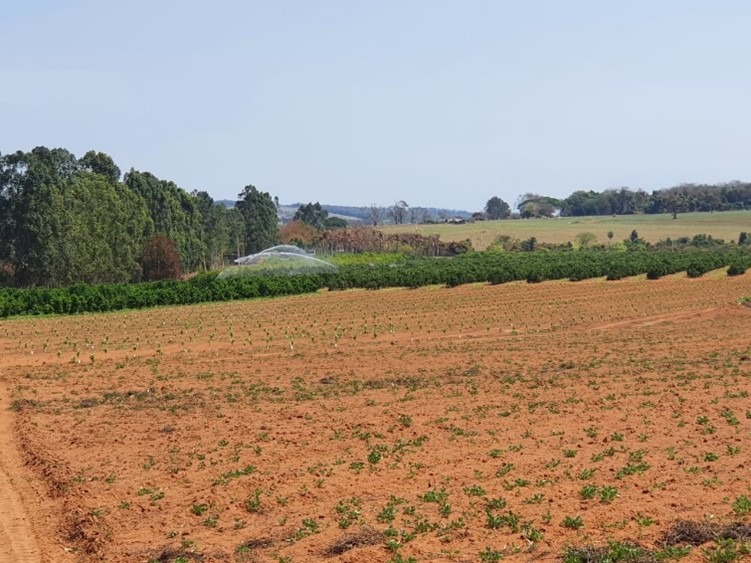 Fazenda, 175 m² - Foto 10