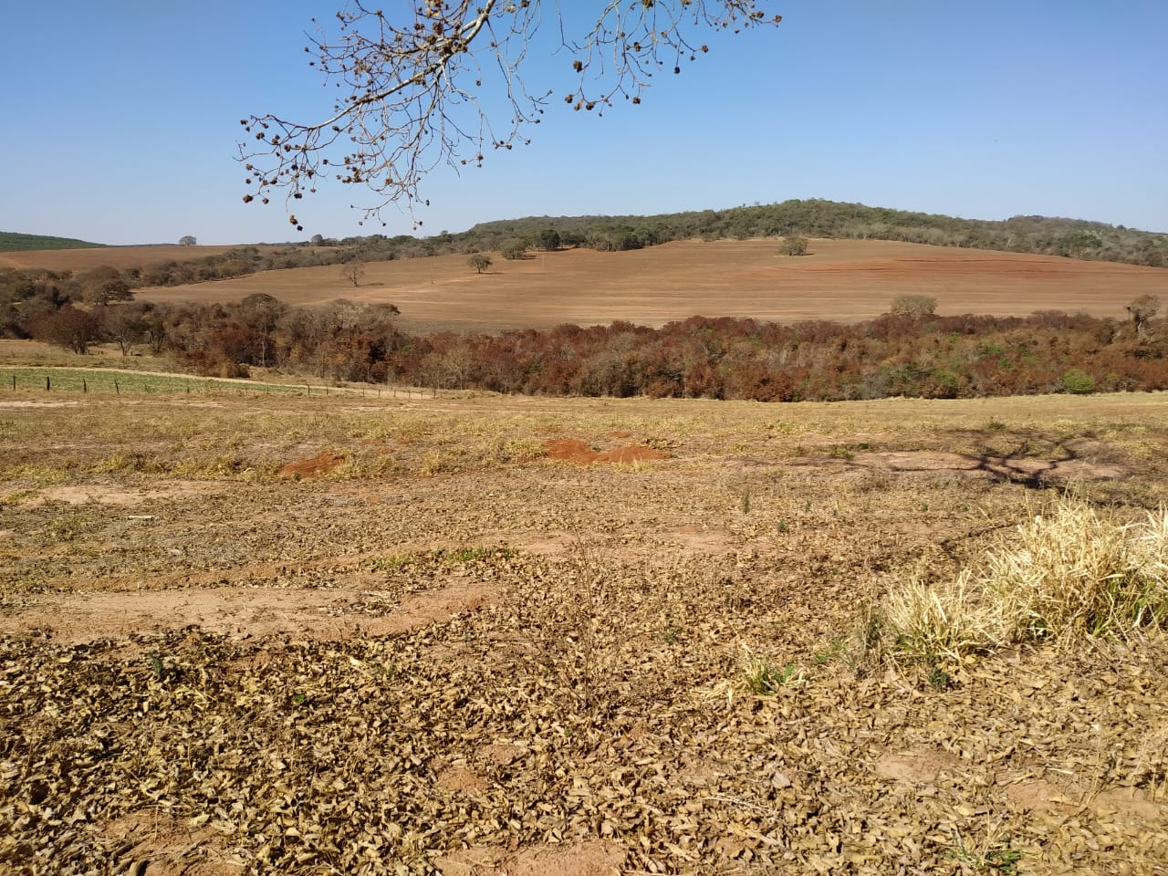 Sítio, 10 m² - Foto 2