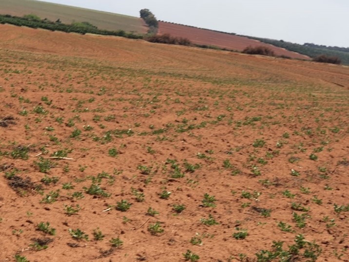 Fazenda, 175 m² - Foto 3