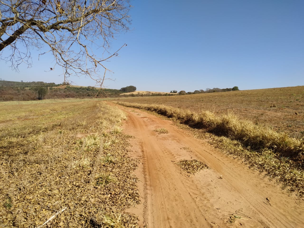 Sítio, 10 m² - Foto 3