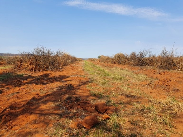 Fazenda, 175 m² - Foto 9