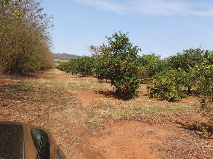 Fazenda, 175 m² - Foto 2